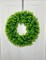Chiara Green Artificial Boxwood Decorative Wreath Indoor/Outdoor Use Available
